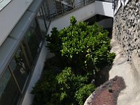 Foto 261